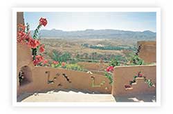 individual travel to tunisia